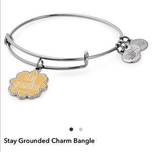 ✨✨ Alex and Ani ✨ Stay Grounded ✨✨